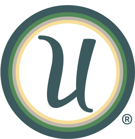 Enter your email to get The Savvy U Updates and <br>The Savvy U Song by Allison Eide.