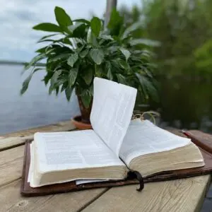 Open book on table beside a plant.