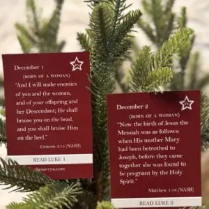 (Advent)<br>Anticipation and Preparation Pack