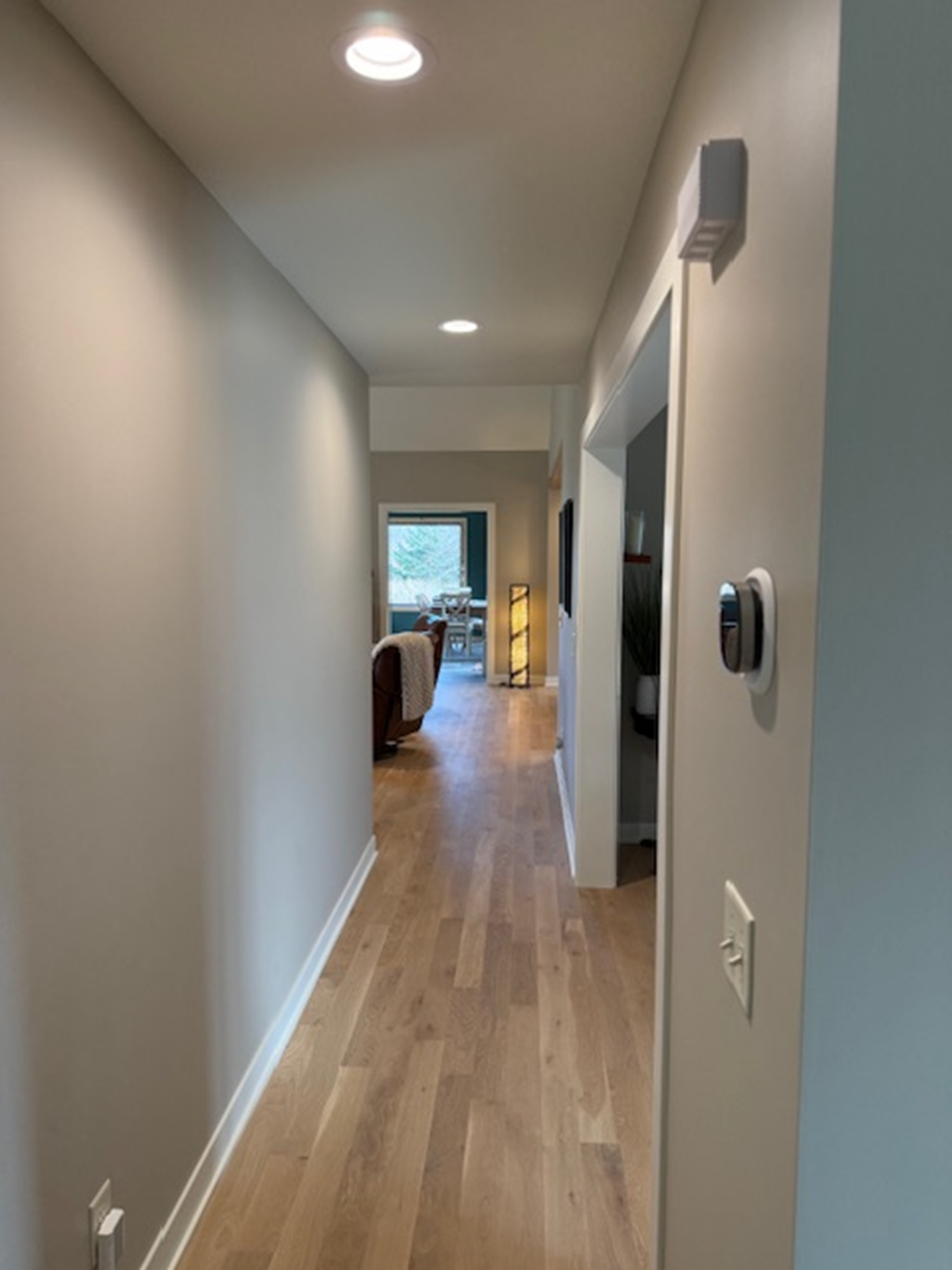 Bright hallway with wooden floors and modern decor.
