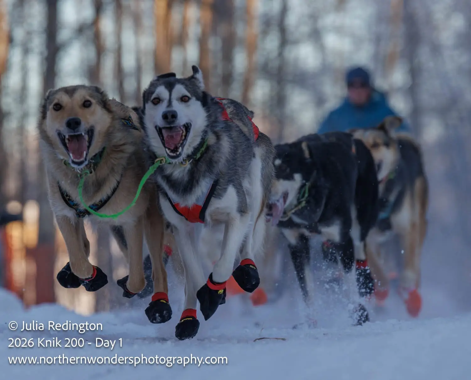 A team of huskies pulling a sled through snowy terrain.